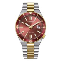 Armbanduhr Citizen Herr Tsuyosa Shore in Stahl NJ0234-58X